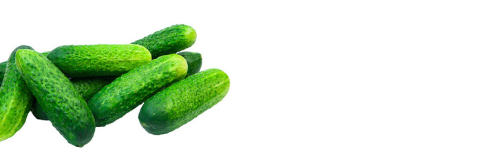 green cucumbers on a white background. ripe gherkins on a table. fresh vegetables on a light texture. the concept of growing cucumbers