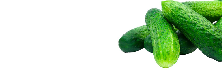 green cucumbers on a white background. ripe gherkins on a table. fresh vegetables on a light texture. the concept of growing cucumbers