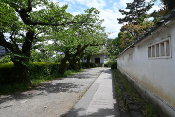 The walls and moats of Odawara Castle (an old Japanese castle) and the park surrounding the castle