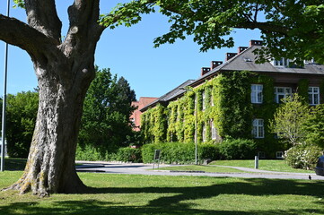 Historisches Gebäude der Universität in Aarhus in einem weitläufigen Park gelegen
