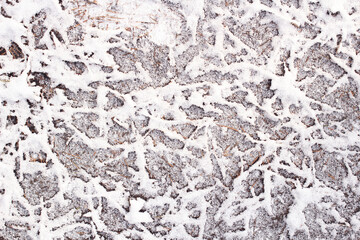 frost on the ground with branches in the form of a pattern