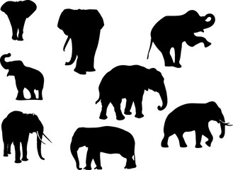 set of animals Elephants  silhouettes