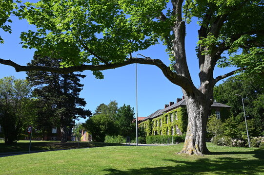 Historisches Gebäude der Universität in Aarhus in einem weitläufigen Park gelegen