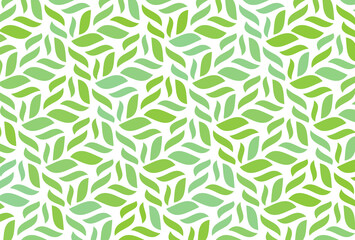 幾何学 抽象 葉 緑 白 背景