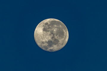 Full Moon in Queensland Australia