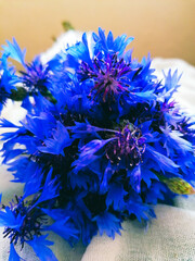 small bouquet of cornflowers for memory, summer gift