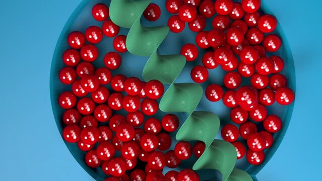 Rotating auger with red balls. Animation