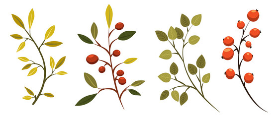 autumn vector illustration of branches with leaves and berries for decoration