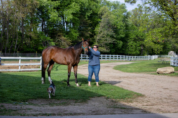 Woman adjusting the halter on a horse at a horse farm.