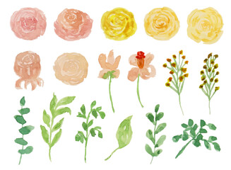 set of summer soft flowers and leaves watercolor