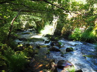 el río pambre con sus aguas transparentes transcurriendo por pequeños puentes e islas, formando bonitos saltos  y cascadas, entorno ideal para los amantes de la nturaleza, lugo, galicia, españa, europ