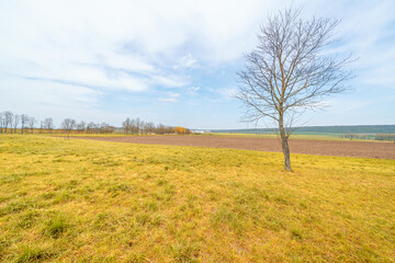 The Kyffhäuserkreis is a district in the north of Thuringia, known for its rich history and diverse landscape.