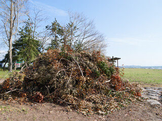 Field by the lake, piles of dead leaves and driftwood
