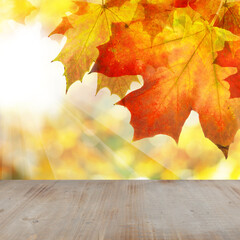Naklejka na ściany i meble Autumn Border of Maple Leaves on Abstract Sunny Bokeh Background