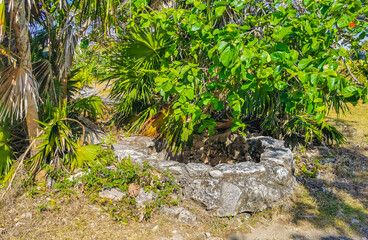Ancient Tulum ruins Mayan site temple pyramids artifacts seascape Mexico.
