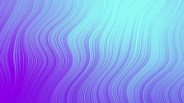 Blue and Purple Gradient lines Motion Background. Seamless Loop