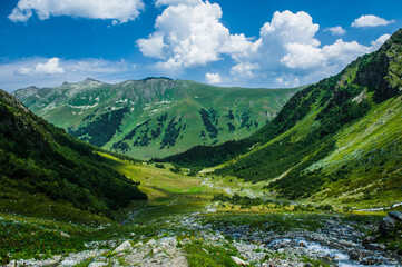 Fototapeta na wymiar The beautiful summer landscape in Arkhyz