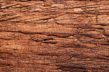 Texture of old wood close-up. Can be used as a background.