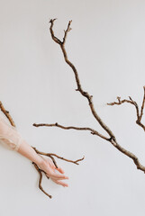 woman mysterious inside tree branch winding concept