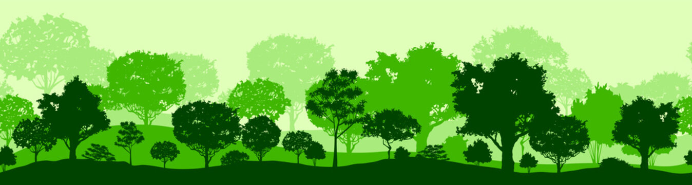 Forest panorama with deciduous trees. Horizontal panoramic seamless banner with hilly forest background, wood in dark and light green tones. Flat vector illustration.