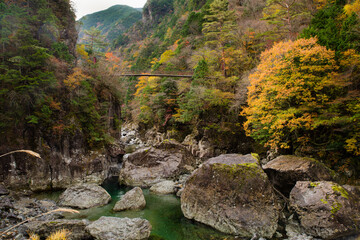 みたらい渓谷（奈良県吉野郡天川村）の紅葉