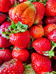 red summer strawberries