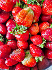 red summer strawberries