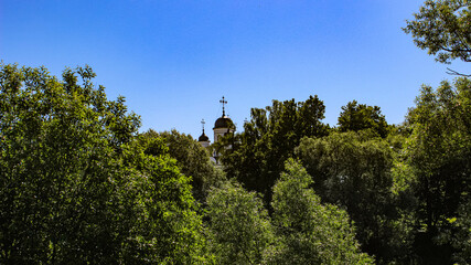 Obraz premium The domes of the temple peeking out from behind the branchy trees