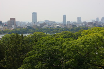 Obraz premium 福岡城跡の天守閣から見た緑と建物に囲まれた都市景観 ：日本、福岡県福岡市