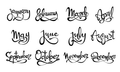 Letrero de letras escritas a mano y vectorizado con los meses del año. Recurso grafico sobre fondo blanco