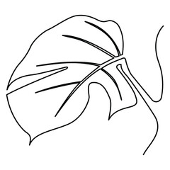 one line continuous drawing of monstera plant
