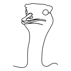 one line continuous drawing of animal ostrich