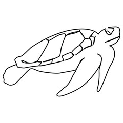 one line continuous drawing of sea turtle animal