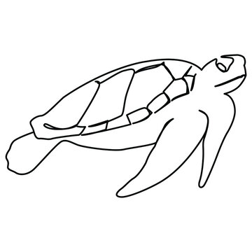 recommend clip art: one line continuous drawing of sea turtle animal