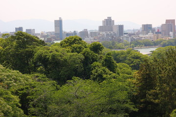 Obraz premium 福岡城跡の天守閣から見た緑と建物に囲まれた都市景観 ：日本、福岡県福岡市