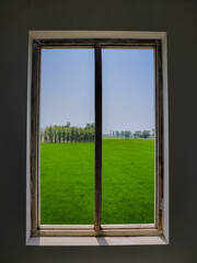 window with green grass