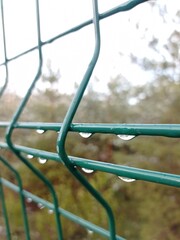 fence