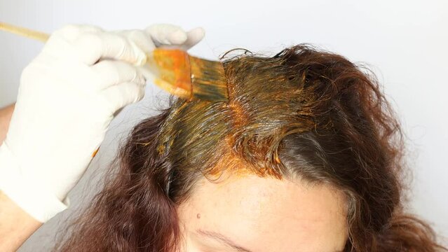 Cropped photo of hairdresser wearing white gloves, applying orange hair dye on roots of long dark brown curly hair of client with rat-tail brush, moving strand on white background. Hair colouring.
