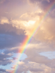 Fototapeta na wymiar amazing bright rainbow in beautiful evening cloudy sky after rain and thunder, weather concept
