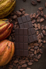 Cocoa pods. Yellow and orange cocoas. Cocoa beans. Trinitarian and Criollo cocoa. Chocolate bar.