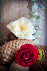 Fondo de madera con piñas de abeto, ramas de eucalipto cinerea, rosa roja y rosa blanca