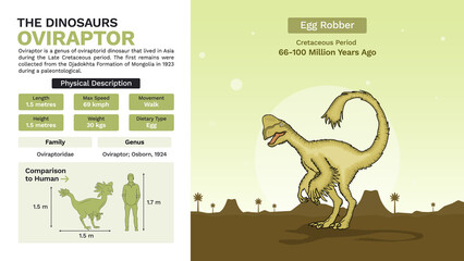 Description and Physical Characteristics of Oviraptor-Vector Illustrations © BonkersArt