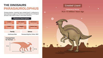 Description and Physical Characteristics of Parasaurolophus-Vector Illustrations