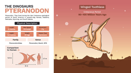 Description and Physical Characteristics of Pteranodon-Vector Illustrations © BonkersArt