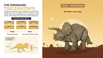 Description and Physical Characteristics of Triceratops-Vector Illustrations