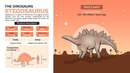 Description and Physical Characteristics of Stegosaurus-Vector Illustrations