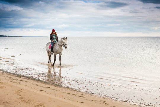 wearing jeans, warm hat and jacket female jokey rides astride gray horse along seacoast