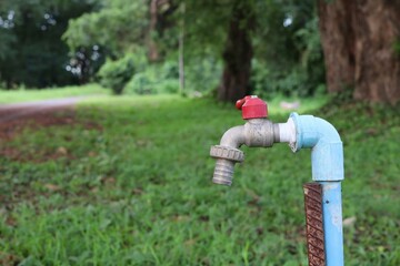 little child playing in the park