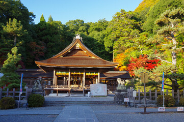 京都亀岡　出雲大神宮の紅葉