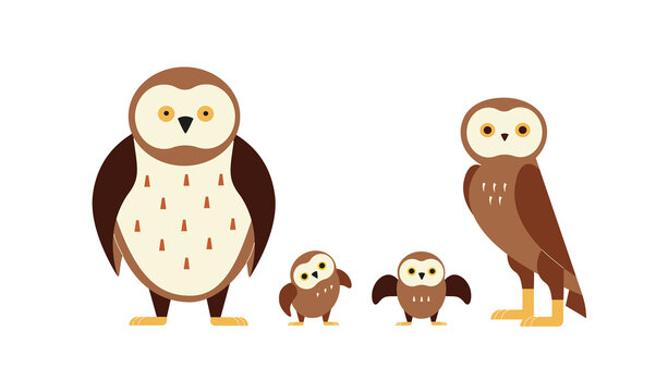 Flat cartoon vector illustration of an owl family. Happy birds together.
